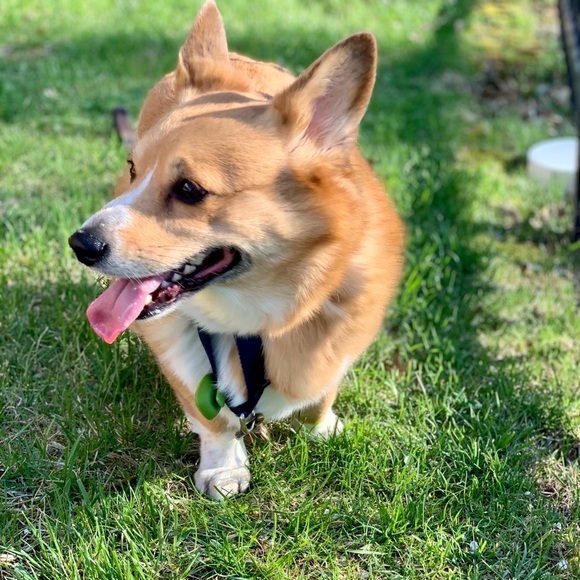 Meet your Posher, Sarah - Picture 3 of 6